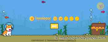 Why Tamadoge seems to be the Next Big Project that The Cryptocurrency World will Experience - Washington City Paper