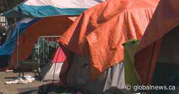 Edmonton seeing 25% increase in encampment complaints over last year