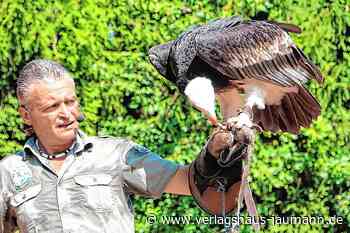Steinen: Vogelpark Steinen startet am heutigen Samstag in die neue Saison - Steinen - www.verlagshaus-jaumann.de