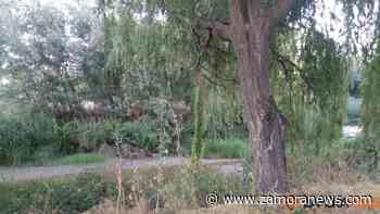 Tiempo en Zamora: Máximas de 37 grados y tormentas en Sanabria - Zamora News