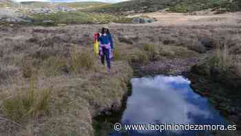 La Junta realiza una campaña de prevención en Zamora contra la bacteria de la legionela - La Opinión de Zamora