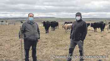 El creciente éxodo urbano dispara la venta de fincas rústicas en Zamora - La Opinión de Zamora