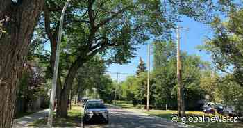 Street parking overhaul gets go-ahead from Edmonton councillors