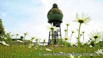 Konzert in Ilsede – erst Vereine, dann das Staatsorchester - Braunschweiger Zeitung