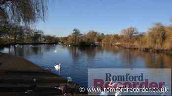 Fish dying in Harrow Lodge Park, Havering after drought - Romford Recorder