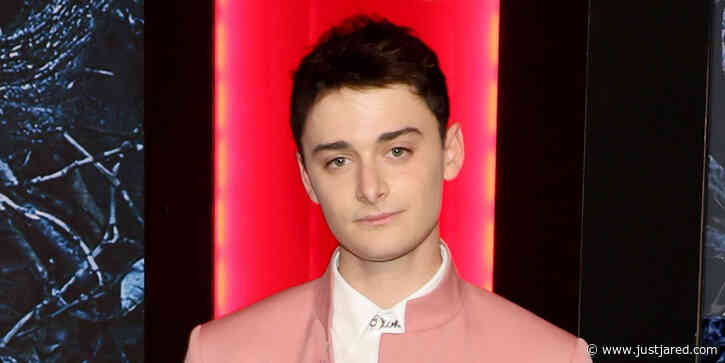 'Stranger Things' Star Noah Schnapp Has a Surprising Summer Job