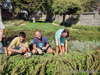 I ragazzi di Anffas Crema al lavoro nel giardino della Casa di Camperia - Prima Treviglio