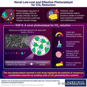 Diamond Quantum Sensor Measures Currents in the Heart at Millimeter Resolution