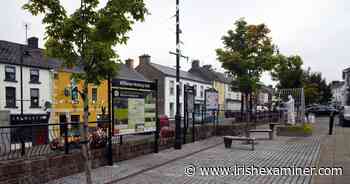 A fifth of Limerick towns and villages have no public transport available - Irish Examiner