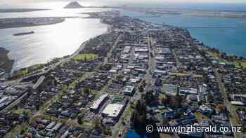 Future of public transport in Tauranga's CBD put under microscope - Bay of Plenty Times