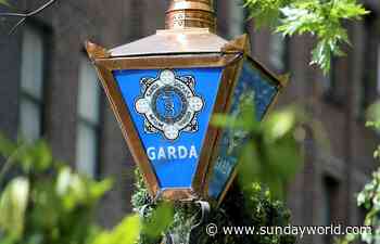 Five charged in Dublin as part of criminal damage crackdown - Sunday World