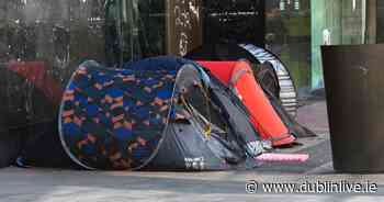 Students asking to stay in tents on Dublin college campus amid housing crisis - Dublin Live