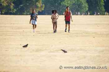 Drought spreads as recent rainfall 'not enough' to alleviate dry conditions - Ealing Times