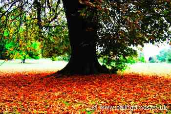 'False autumn' caused by summer drought spells trouble for nature - Ealing Times