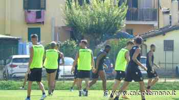 Modena-Ternana, la ripresa delle Fere: attesa per le condizioni di Luka Bogdan - Calcio Ternano