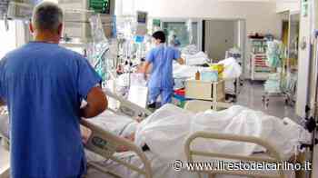 Meningite batterica, un caso a Modena: al via la profilassi - il Resto del Carlino