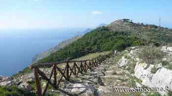 Massa Lubrense, all'iraniana Marjan Fahimi il progetto artistico del Diarc - Ottopagine