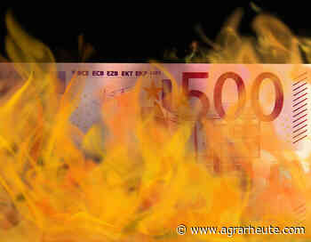 Schwacher Euro ruiniert Bauern und Wirtschaft - agrarheute.com