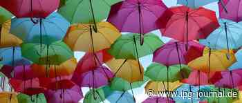 Anti-Inflations-Schirme: Welche Maßnahmen wirken? – Wirtschaft und Ökologie - IPG Journal