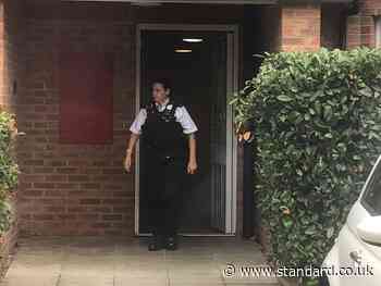 Ealing: Murder probe after 58-year-old woman stabbed to death - Evening Standard