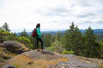 Hit the trail: 5 tips for trail etiquette every Victorian should know - Victoria Buzz