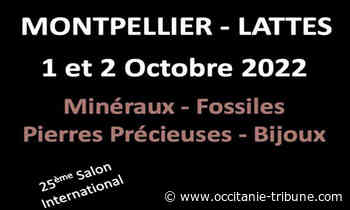Lattes - 25 ème Salon international minéraux fossiles gemmes Lattes - OCCITANIE tribune