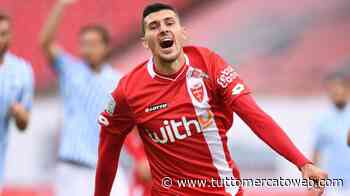 Triestina, spesa in casa Monza: oltre Lamanna si punta anche l’attaccante Maric - TUTTO mercato WEB