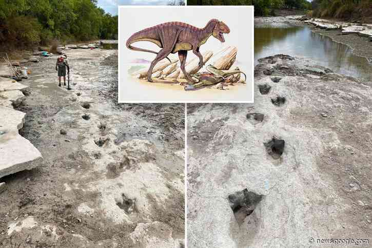 New dinosaur tracks discovered in Texas after drought dries up river - New York Post