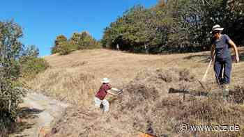 Arbeitsgruppe aus Jena und dem Saale-Holzland mäht zum Schutz der Orchideen