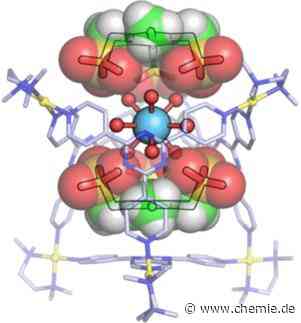 Käfig mit Deckeln: Selektiver Einschluss von Seltenerdmetall-Hydraten in Wirtsmoleküle
