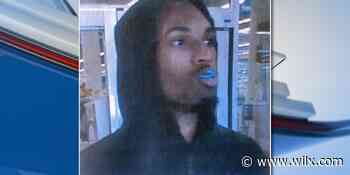 Meridian Township police seek man in retail fraud investigation - WILX