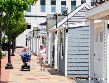 Water taxi, beach retail chalets, train service among Muskegon’s 5-year goals - MLive.com