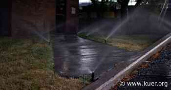 Monsoons won't solve Utah's drought woes, but it can put a dent in outdoor water use - KUER 90.1