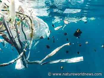 16-Year-Old Student Built a Robot that can Solve Plastic Pollution in Pacific Ocean Within a Year - Nature World News