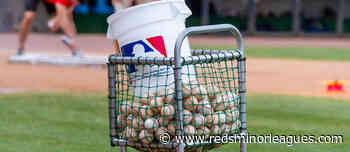 Cincinnati Reds Minor League Game Review: August 22, 2022 - redsminorleagues.com - Reds Minor Leagues