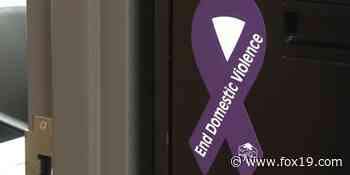 Cincinnati organization announces expansion of DVERT program - FOX19