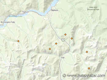 Lightning starts 7 small fires south of Nelson - Nelson Star