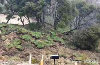 Visitor to Nelson captures dramatic hillside collapse during downpour - RNZ