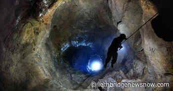 Survivor Dog Lost For Two Months Rescued By Cave Explorers - Lethbridge News Now