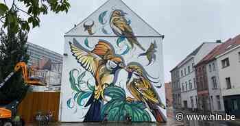 Nieuwe, metershoge muurschildering siert buurt Watersportbaan | Gent | hln.be - Het Laatste Nieuws