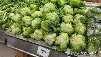 Higher cost of living starting to bite for some supermarket customers