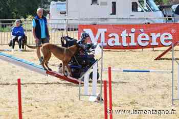 Une saison dense pour le Sporting cynophile - Arpajon-sur-Cère (15130) - La Montagne