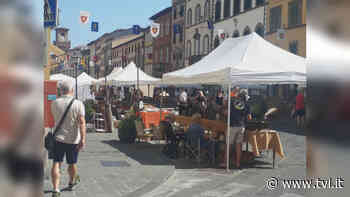 Pescia Antinqua: edizione speciale - Notizie - TVL - News