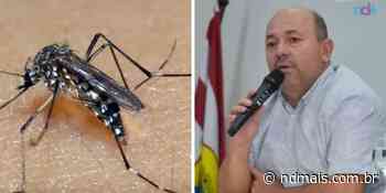 Brusque finaliza 5ª semana sem novos casos de dengue - ND Mais