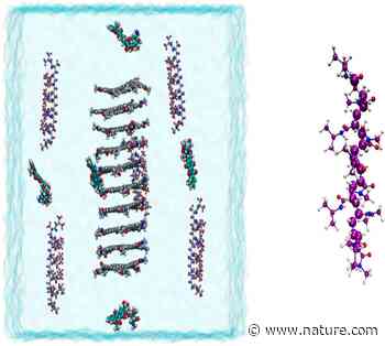 PNIPAM/Hexakis as a thermosensitive drug delivery system for biomedical and pharmaceutical applications | Scientific Reports - Nature.com