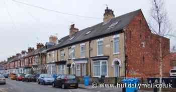 Two arrested in Hull after police uncover £20,000 worth of cannabis - Hull Live