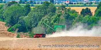 Weizen bleibt die Nummer eins – doch auf Äckern im Kreis Hildesheim hat sich auch etwas verändert - www.hildesheimer-allgemeine.de