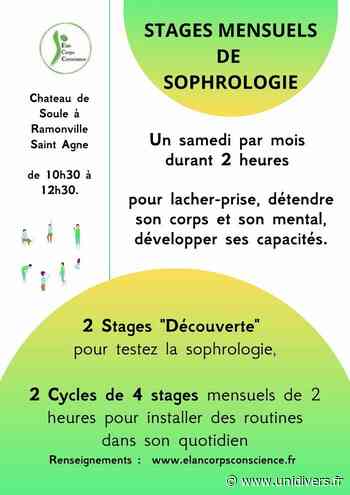 Stages mensuels de Sophrologie Château de Soule samedi 1 octobre 2022 - Unidivers