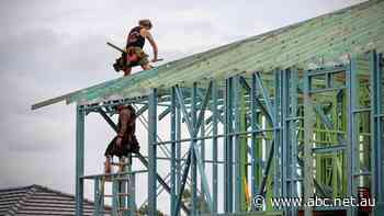 Delays to infrastructure projects and first home builds continue as labour and supply shortages mount