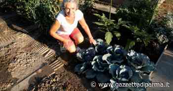 Strada Quarta: il verde oltre il cancello - Gazzetta di Parma